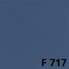 Florida F717